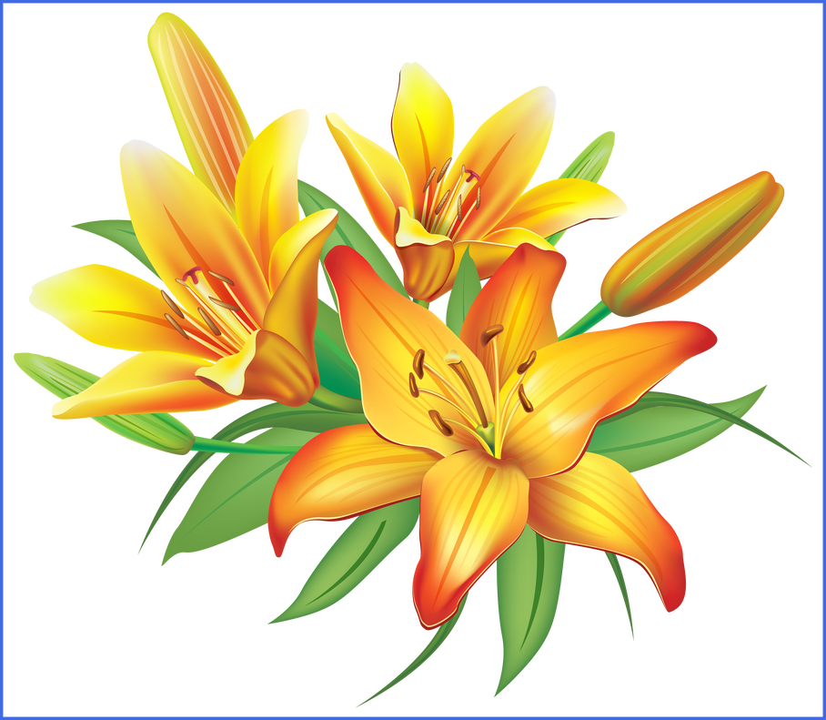 Awesome Yellow Flowers Decoration Png Image Of - Lilies Clipart (908x791), Png Download