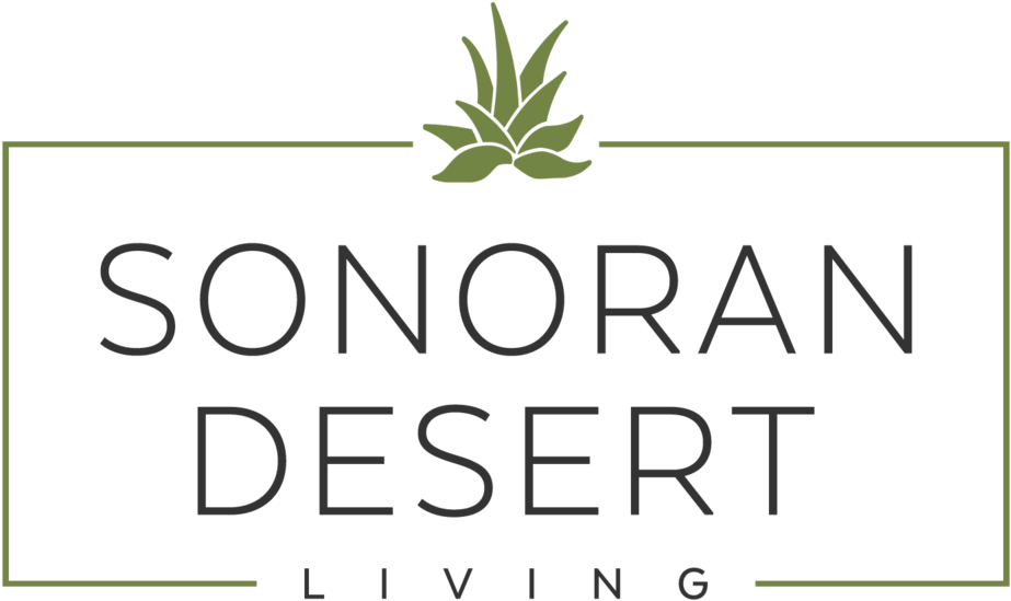 Sonoran Desert Living - Hotel (1000x687), Png Download