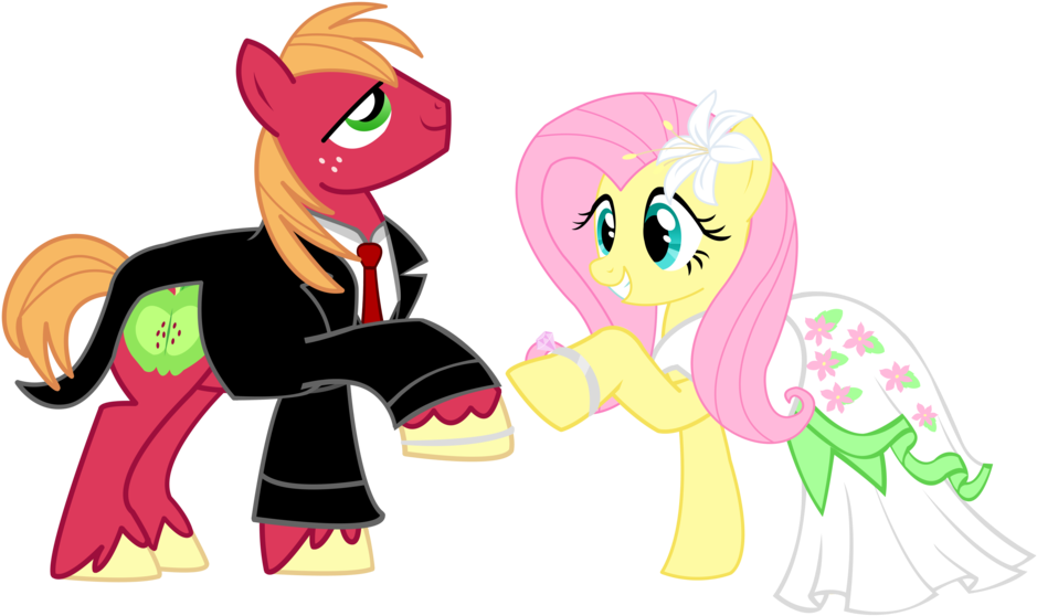 Pony Wedding Commission Big Mac X Flutt - My Little Pony Big Macintosh X Fluttershy (1024x589), Png Download