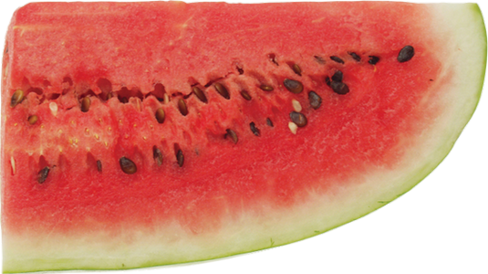 Watermelon (535x300), Png Download