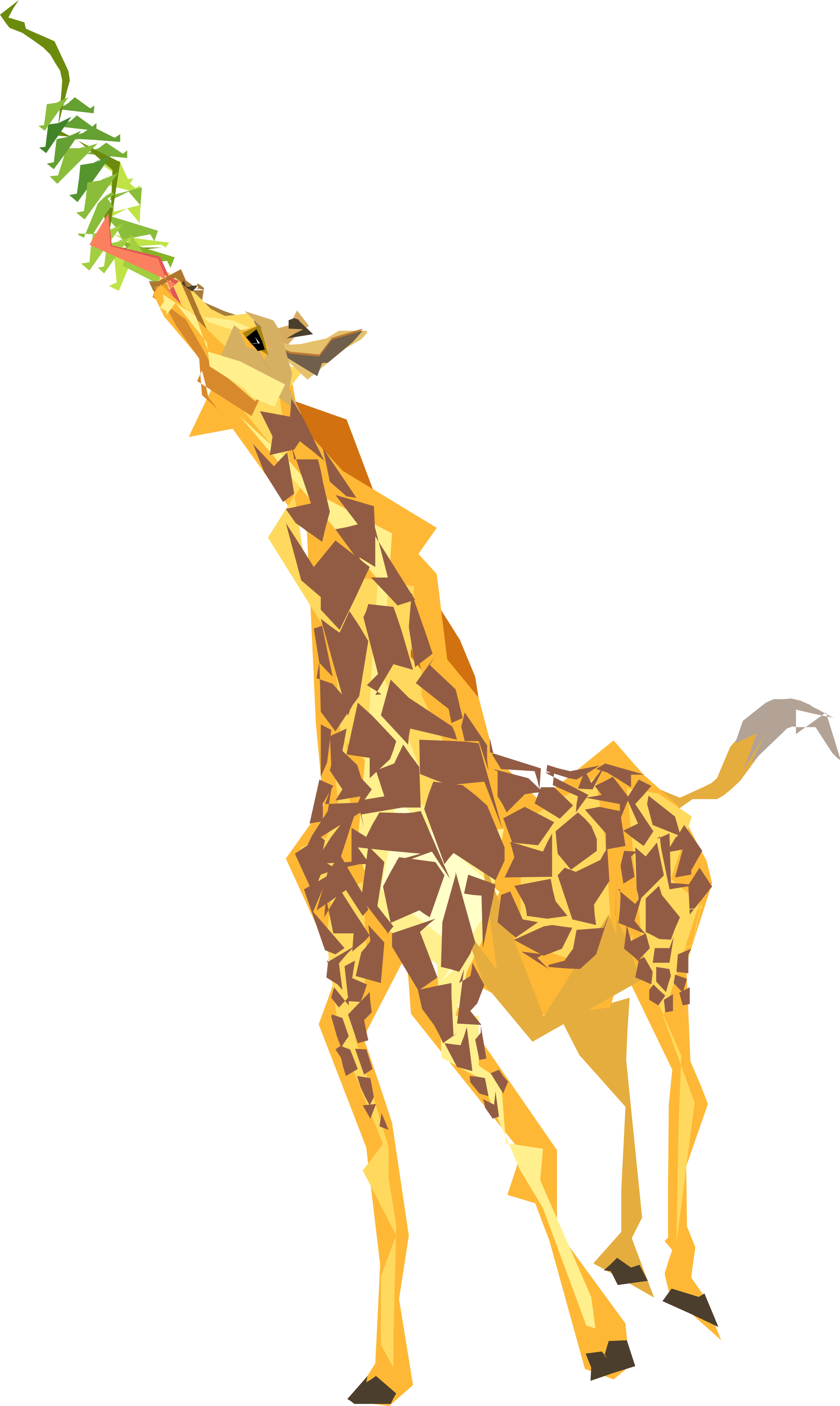 Download - Giraffe Eating Leaves Clipart (1979x3311), Png Download