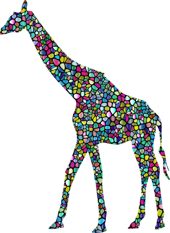 Baby Giraffes West African Giraffe Vertebrate Northern - Transparent Background Giraffe Png (546x750), Png Download