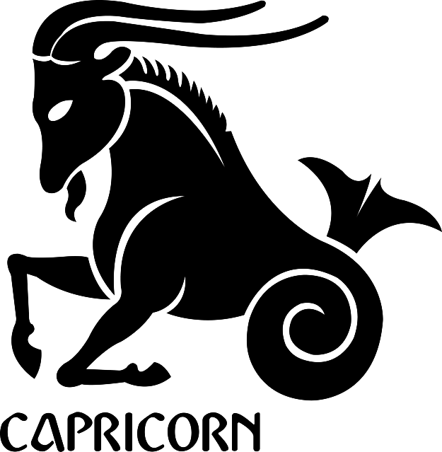 Capricorn Png Image - Capricorn Zodiac Sign (625x639), Png Download