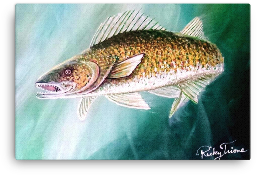Walleye Pike By Ricky Trione - Art (1000x1000), Png Download