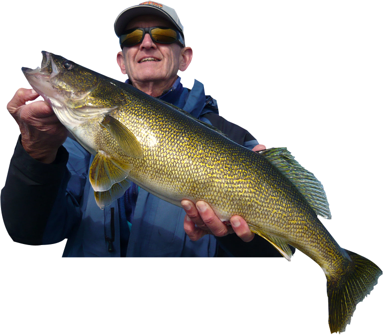 Rainy Lake Trophy Walleye Fishing - Campfire Island (770x674), Png Download