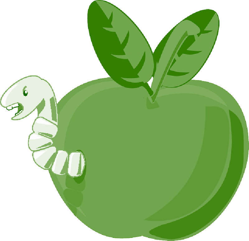 Mb Image/png - Small Cartoon Apple (800x776), Png Download