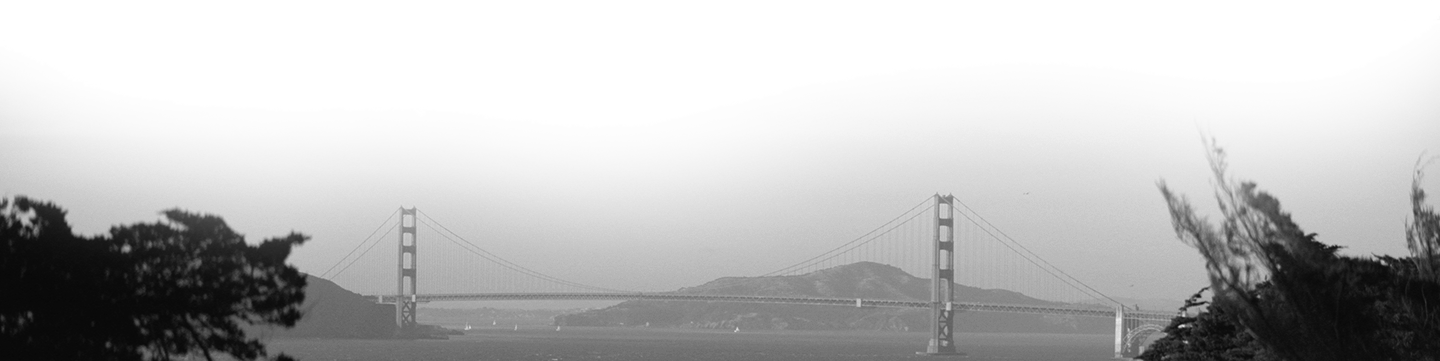 Requests - Suspension Bridge (1440x361), Png Download