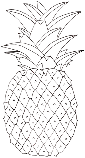 Pineapple Tumbl Pineapple Tumblr Transparent Zoefrances - Pineapple Pictures To Colour (500x703), Png Download