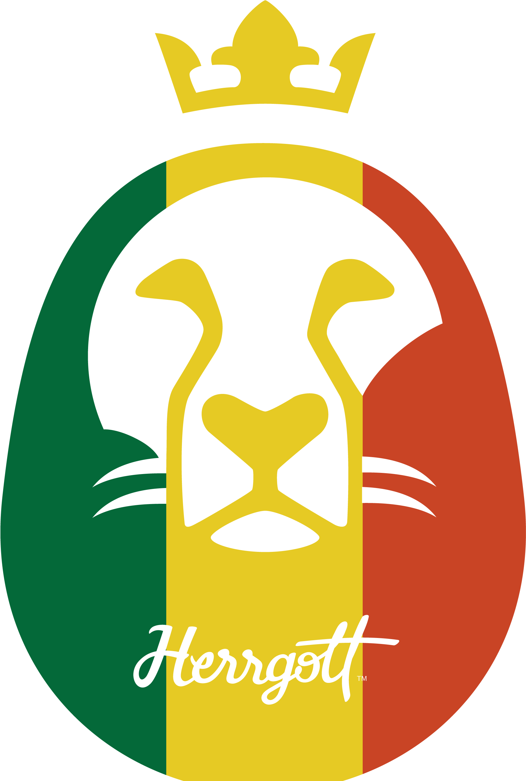 Tyler, The Creator Updates Golf Wang Tumblr - Lion Of Judah King Symbol Of Rastafari Art Men (woman (2280x2880), Png Download