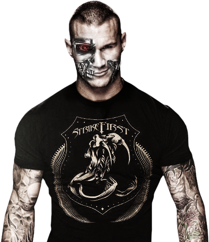Download - Official Wwe Randy Orton Hard Back Case (431x499), Png Download