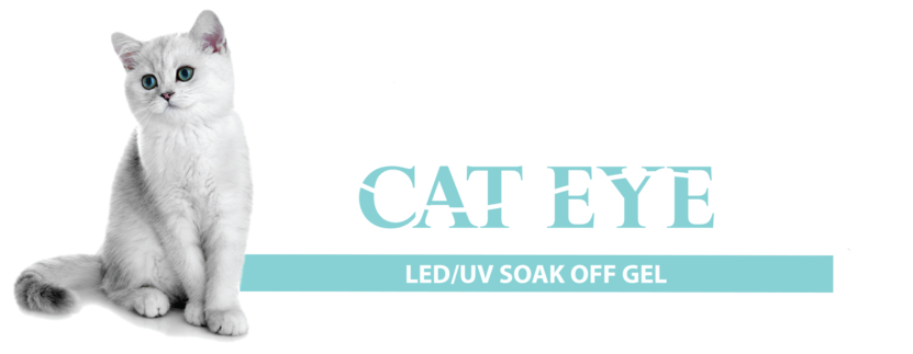 Cre8tion Cat Eye Flyer (1000x322), Png Download