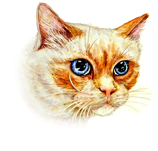 Pointed Cat Painting Portrait - Domestic Short-haired Cat (689x611), Png Download
