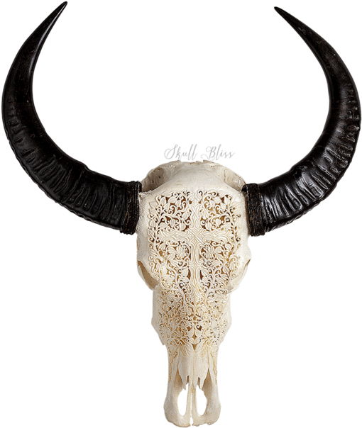 Carved Buffalo Skull - Decorative Skull Head Cow (645x645), Png Download