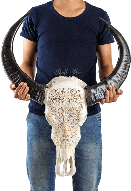 Carved Buffalo Skull - Christian Cross (645x645), Png Download