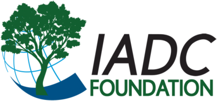 2017 Foundation Logo - Adesivi Murali – Wall Stickers – Albero Quercia Nero (1000x480), Png Download