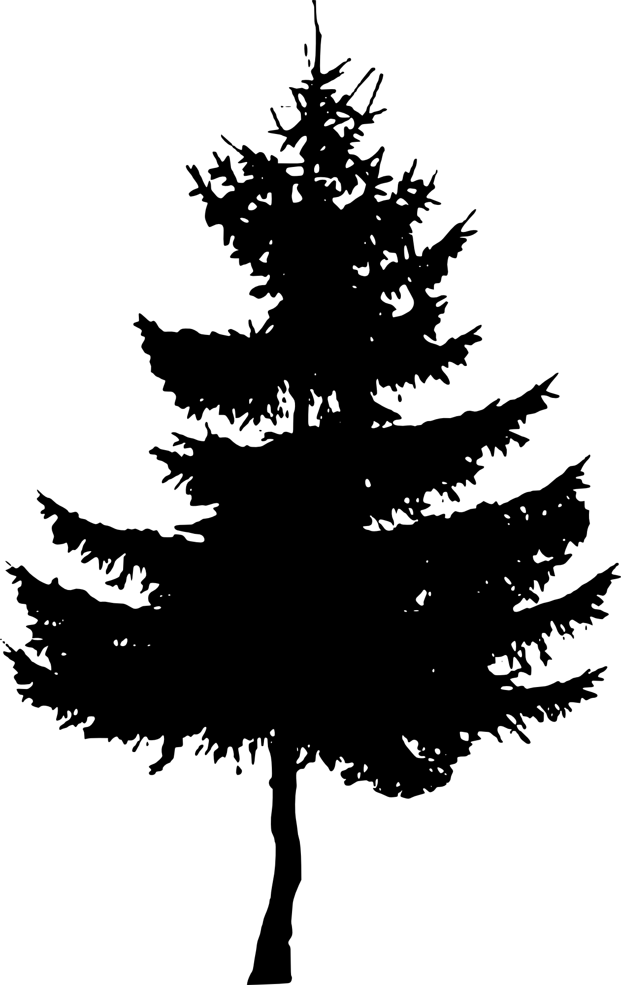 Free Download - Pine Tree Silhouette Png (1261x2000), Png Download