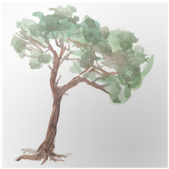 Pine Tree On A White Background - Watercolor Painting (400x400), Png Download