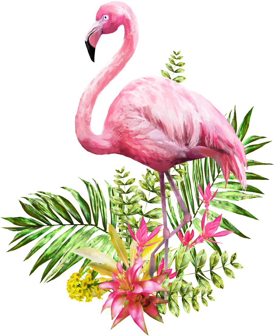 Download Flamingo Png Transparent Standing In Flowers And Grass