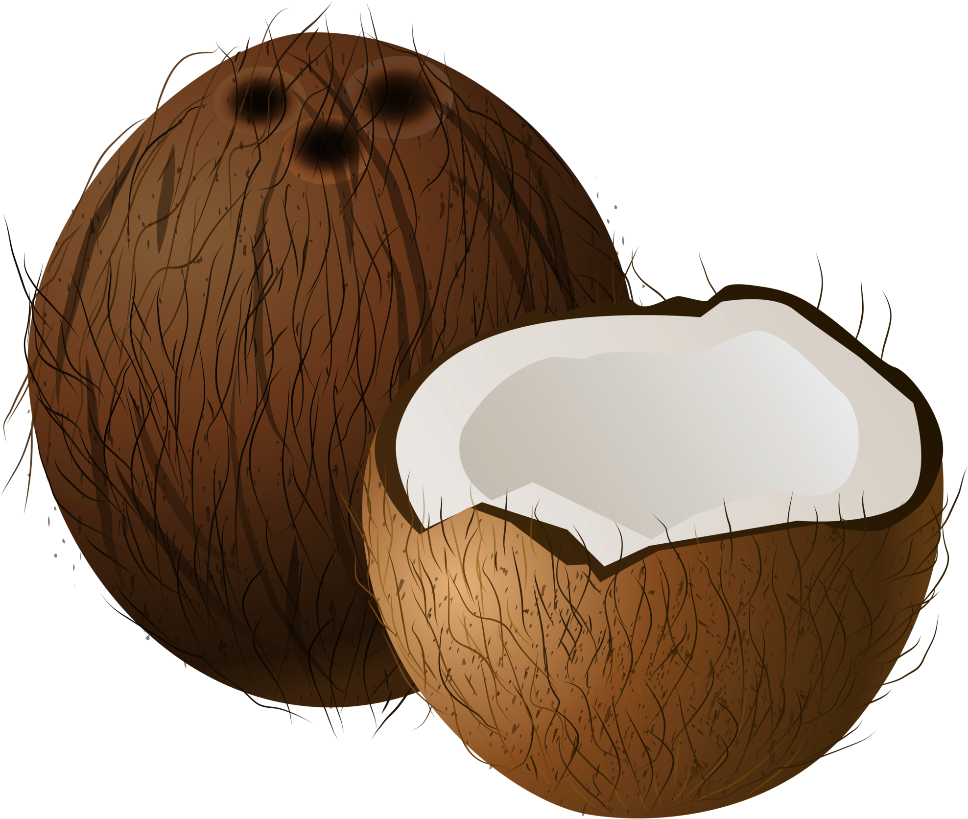 Coconuts Png Clip Art - Coconut Clipart (2000x1691), Png Download