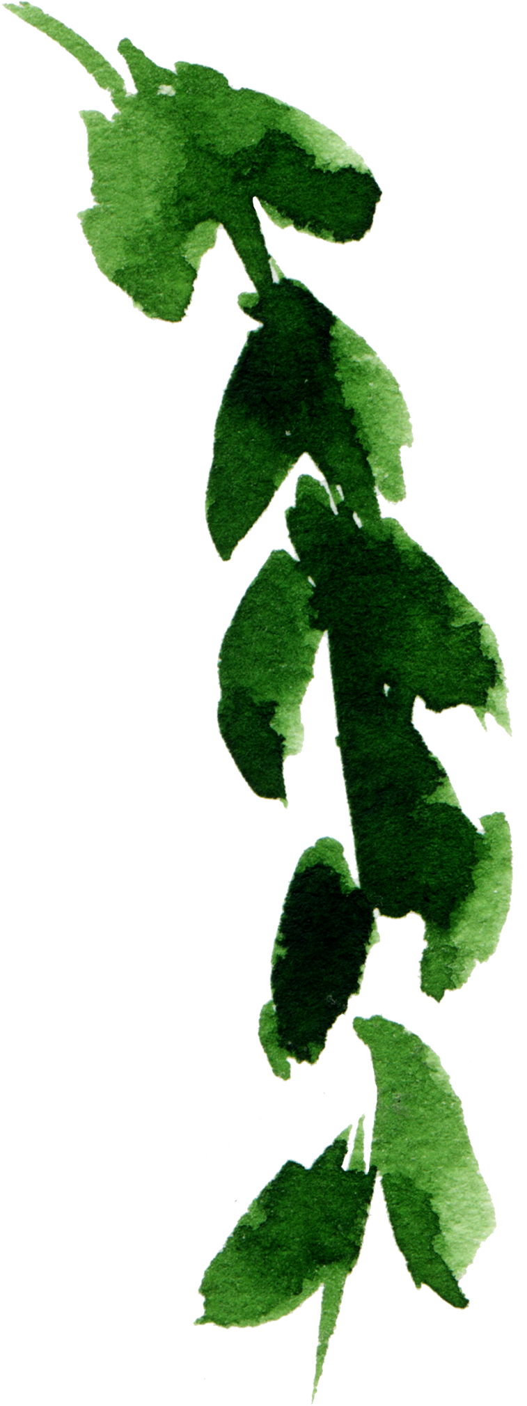 Boho Fabric - 8" Woodland Fox Green - Green Custom (801x2079), Png Download