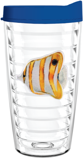 Angel Fish Watercolor Patch 16oz Tumbler - Usa Flag 16 Oz Insulated Tumbler With Blue Lid And (302x599), Png Download