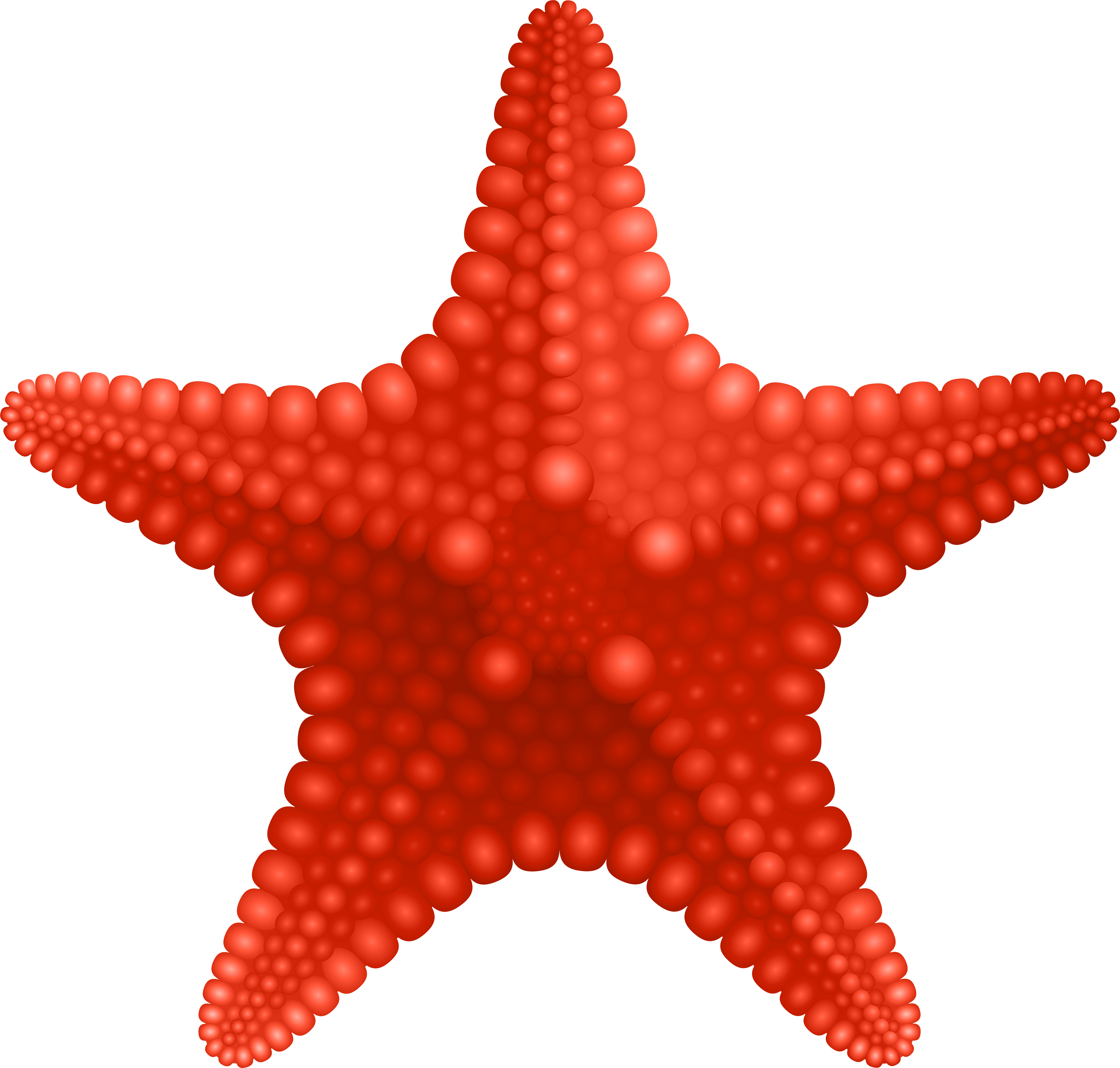 Starfish Png (8000x7627), Png Download