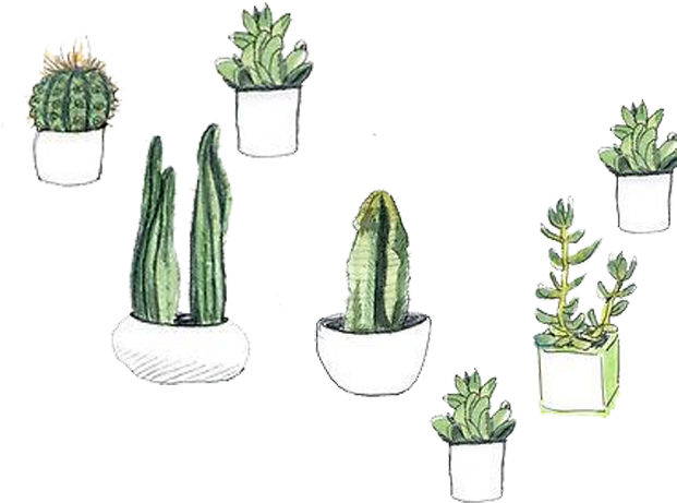 Cactaceae Watercolor Painting Succulent Plant Drawing - Hand Drawn Succulents Png (1000x1000), Png Download