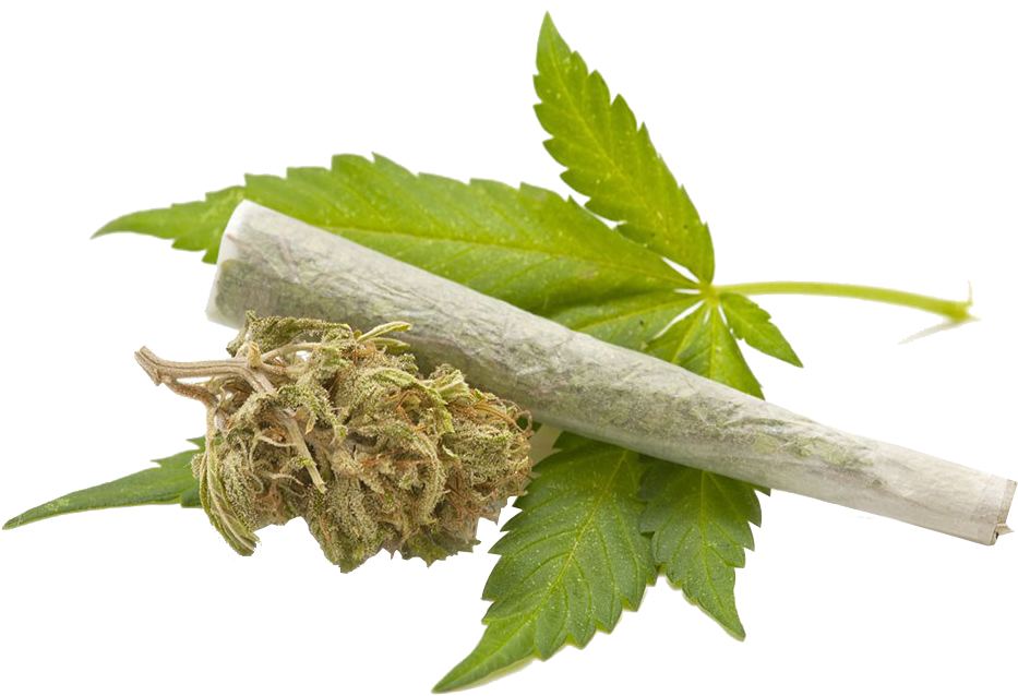 Marijuana Leaf Transparent Background (1024x680), Png Download