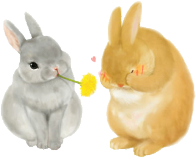 Ftestickers Watercolor Rabbits Cute - Bunny Illustration (1024x1024), Png Download