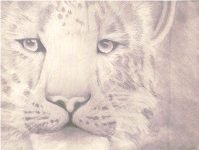 Thumb - Masai Lion (400x400), Png Download