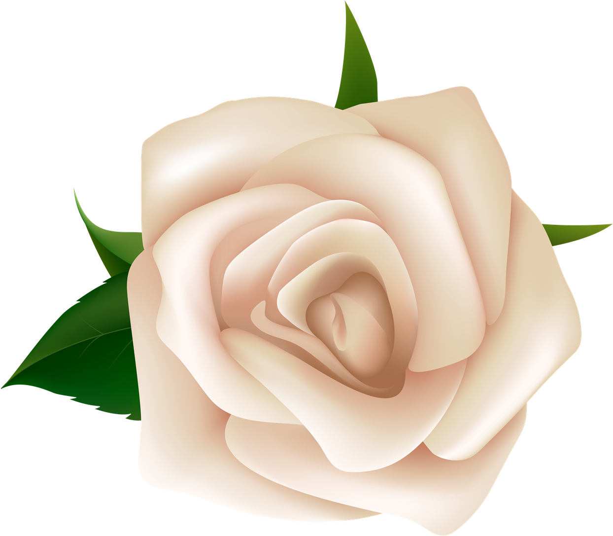 White Rose Free Png Image - Clip Art White Rose Png (1280x1119), Png Download