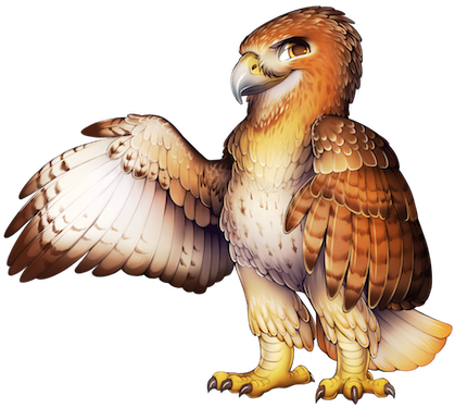 25 9 Red Tailed Hawk - Bird (445x400), Png Download