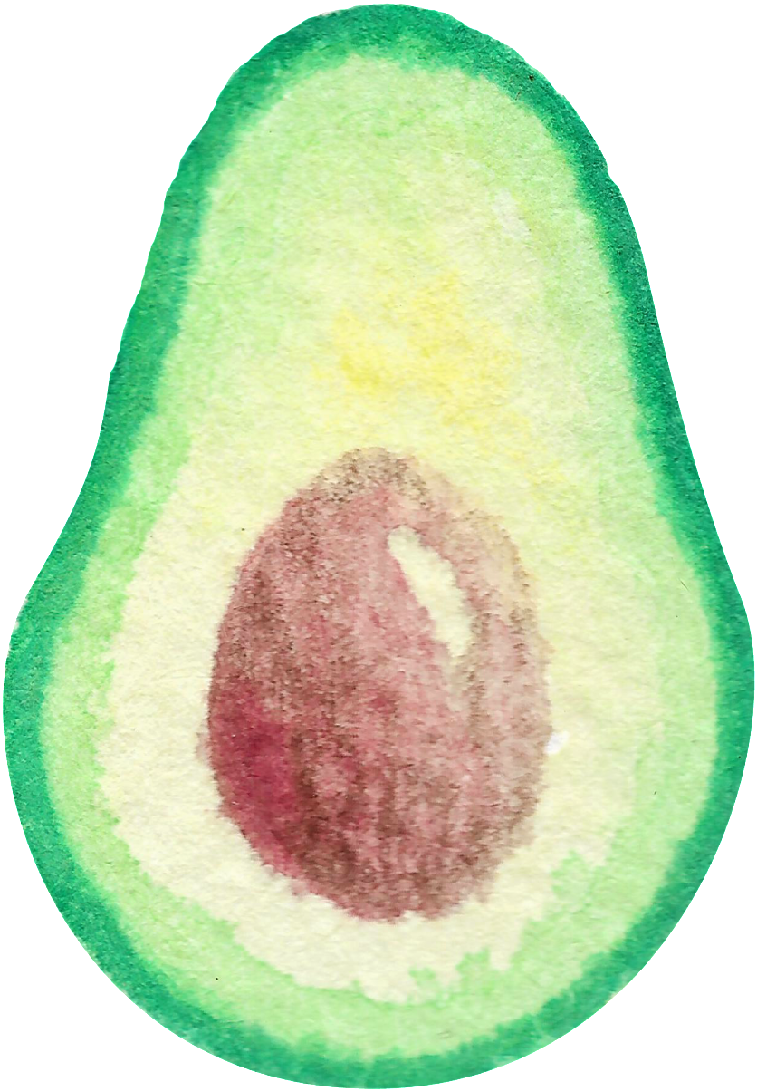 Watercolor Hand-painted Butter Fruit Cut Transparent - Fruit (1024x1369), Png Download