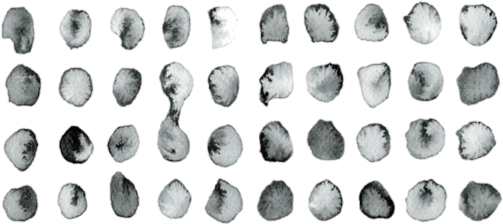 Ftestickers Watercolor Brushstrokes Grunge Blackandwhit - House (1800x846), Png Download