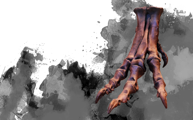 Balance The Encounter By Adding Or Reducing The Number - Giant Pacific Octopus (640x400), Png Download