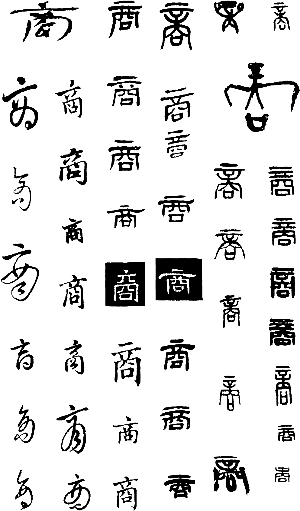 Quotient Encyclopedia - Download (1024x1739), Png Download