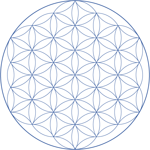 Flower Of Life - Flor De La Vida 19 Circulos (480x480), Png Download