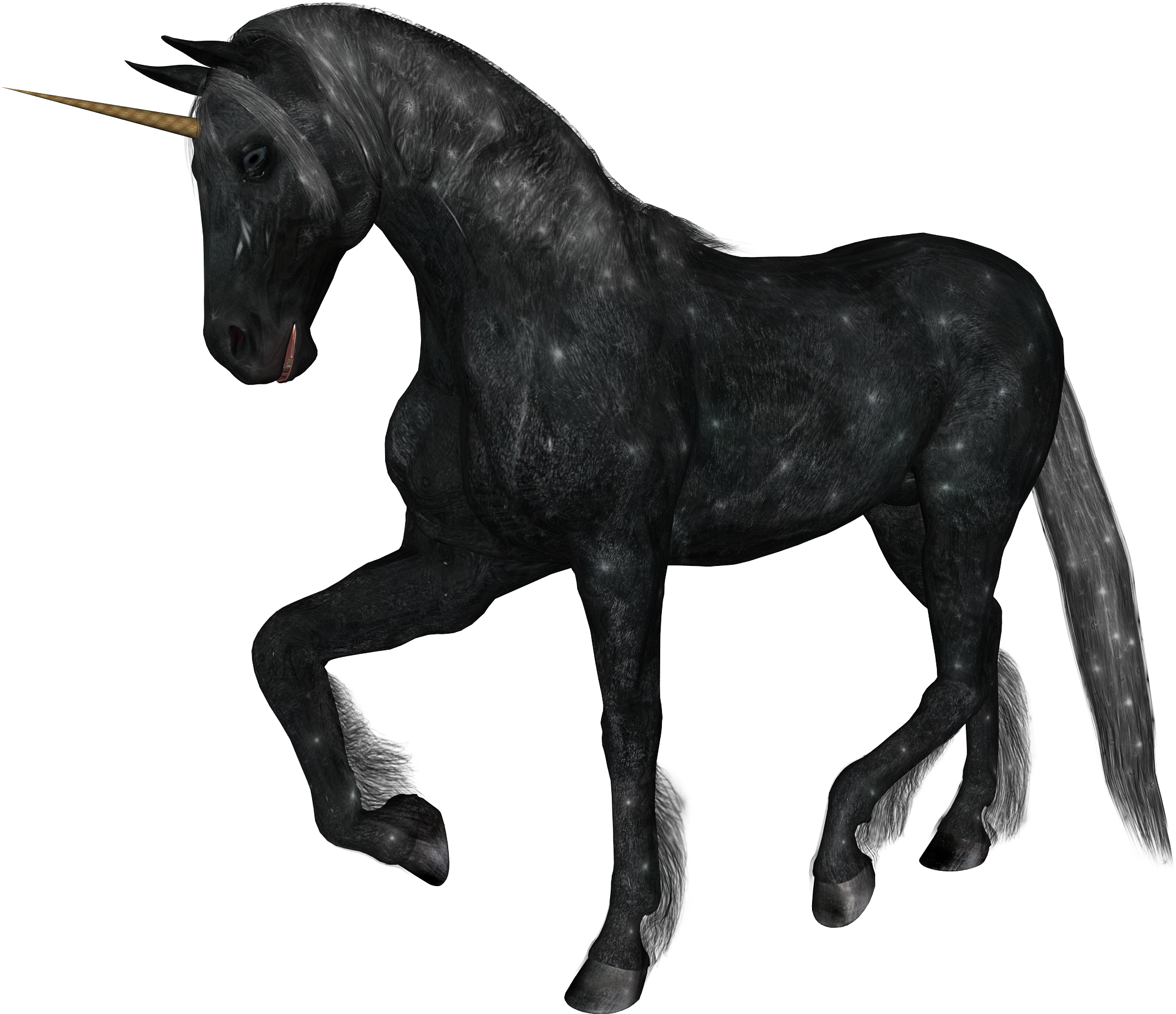 Unicorn Png Images Free Download Graphic Black And - White Unicorns White Background (2400x1920), Png Download