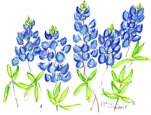 Bleed Area May Not Be Visible - Bluebonnet Watercolor (600x408), Png Download