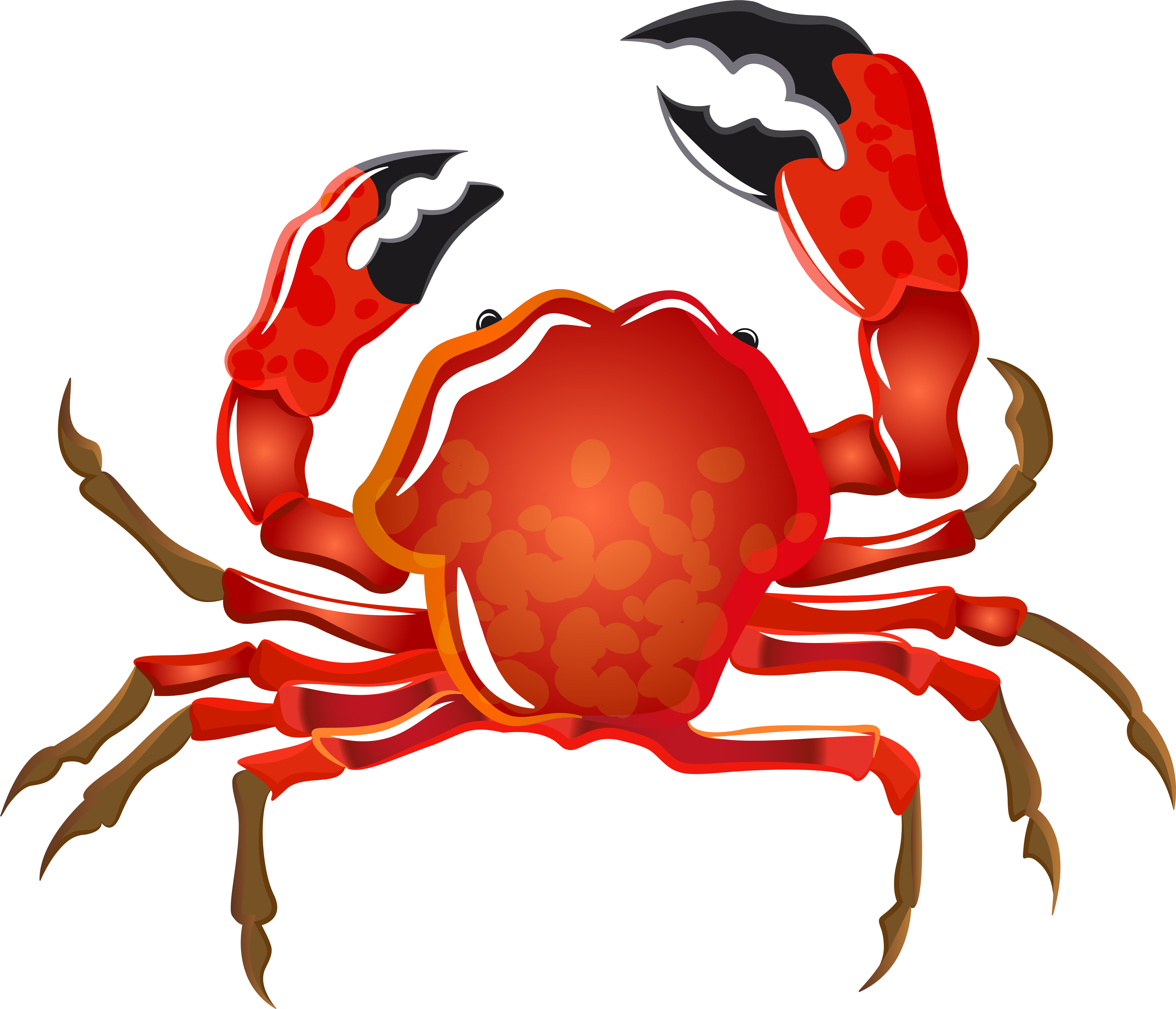 Crab Png (8000x6862), Png Download