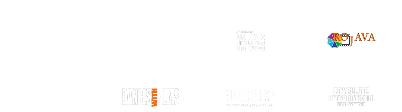 Six Awards Alternate3 - Babyliss Curl Secret C1200e - Hair Styler (800x240), Png Download