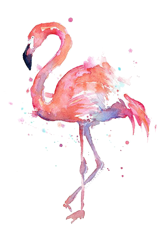 T Shirt Paper Watercolor - Flamingo Watercolor (564x821), Png Download