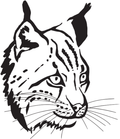 Europe (800x600), Png Download