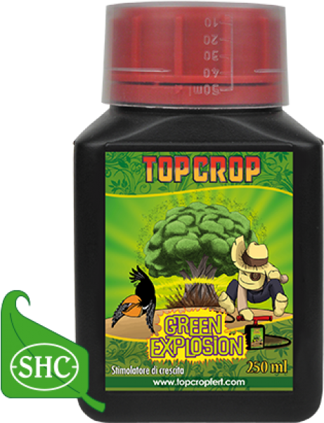 Productos Top Crop (600x600), Png Download