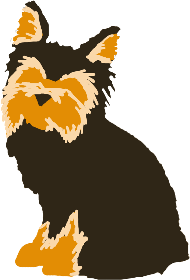 Yorkie (1000x982), Png Download