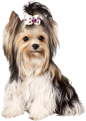 Фото, Автор Иришка-манюшка На Яндекс - Dog (382x500), Png Download
