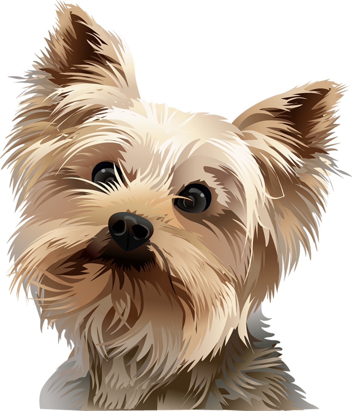 Picture Freeuse Stock Tshirt Standing Vibrant Animal (1158x1350), Png Download