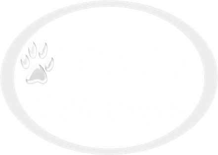 Teacup Yorkie Puppies For Adoption - Family Of 5 Stick People (450x360), Png Download