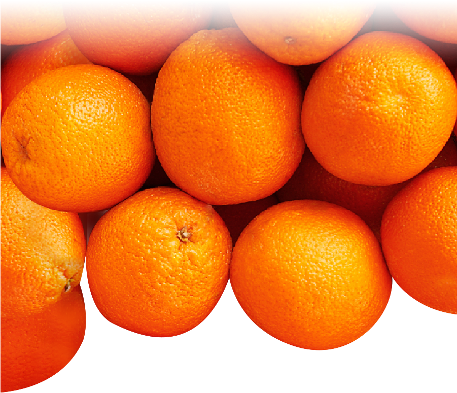 Oranges-v2 - Blood Orange (900x958), Png Download