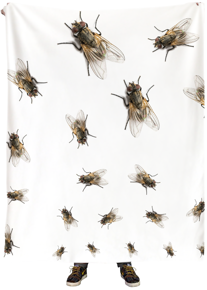 Flies Blanket - Blanket (834x1024), Png Download